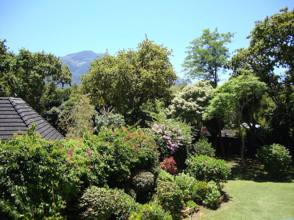 Little House Villa Cape Town Bilik gambar