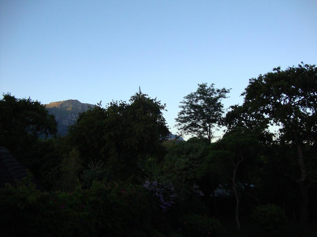 Little House Villa Cape Town Bilik gambar